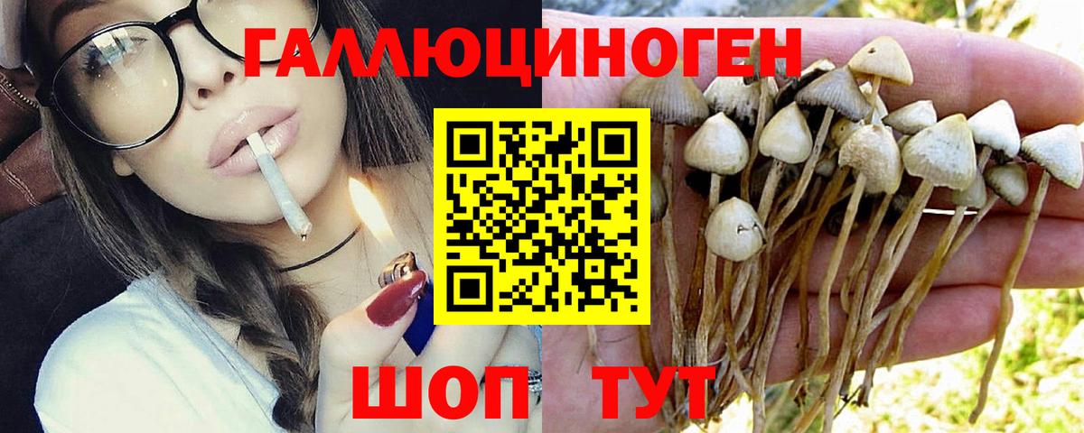 Псилоцибиновые грибы мухоморы Еманжелинск